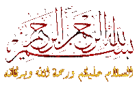 Allh 7